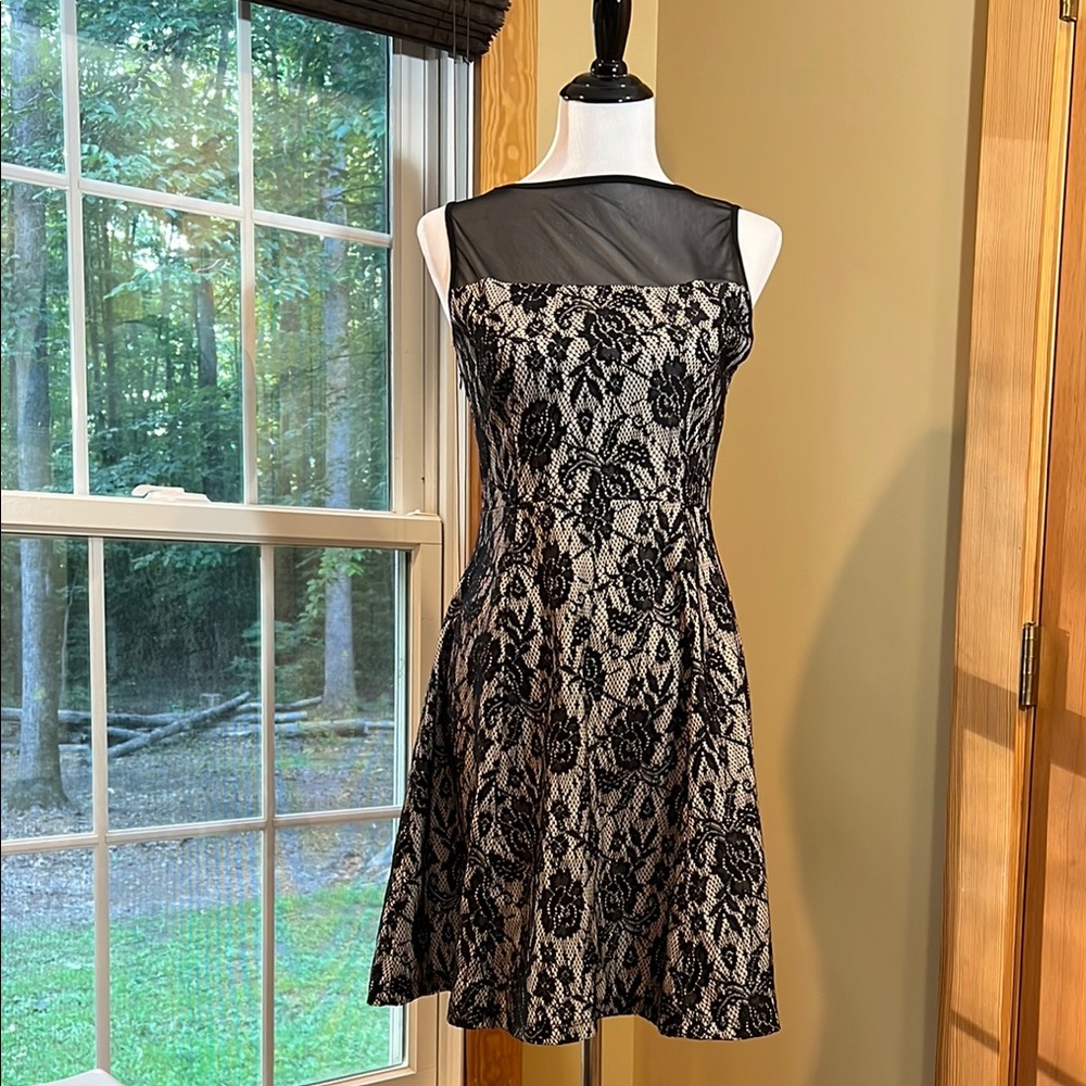 Elegant Black Lace Dress